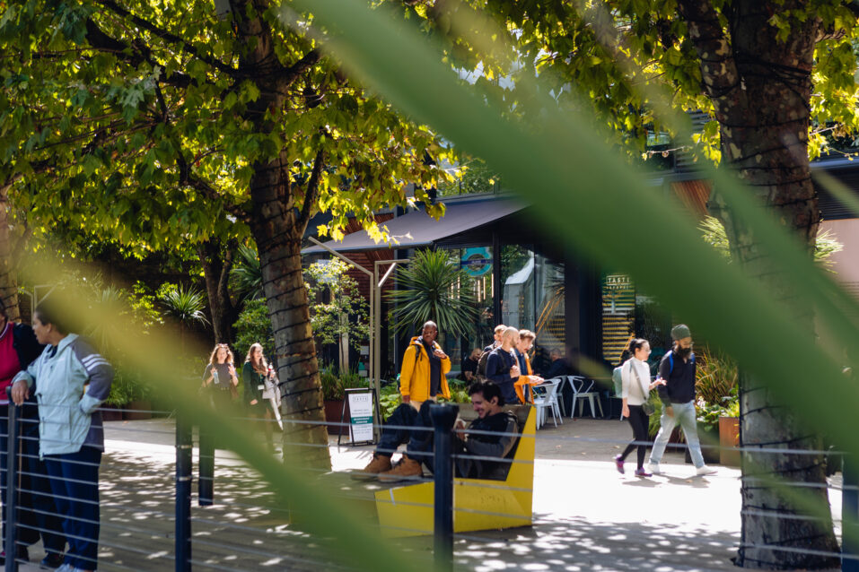 People walk and sit beneath leafy trees near a modern building on a sunny day, with green leaves partially obstructing the view.